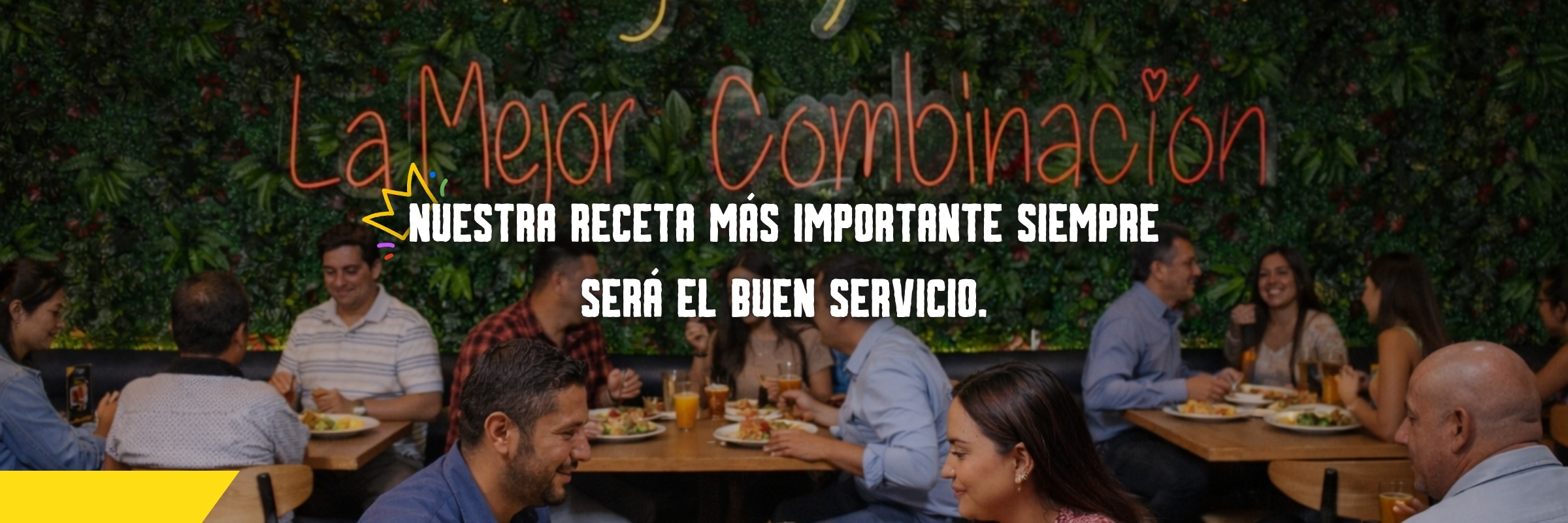 Cursos